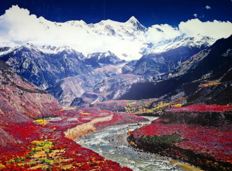 西藏，共庆盛会——尊敬的领导、敬爱的教师和亲爱的同学们齐聚一堂